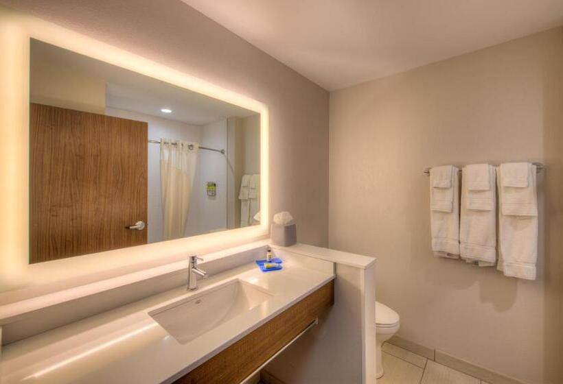 Люкс, Holiday Inn Express & Suites   Remington, An Ihg