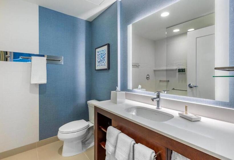 سوئیت با تخت بزرگ, Residence Inn Providence Downtown