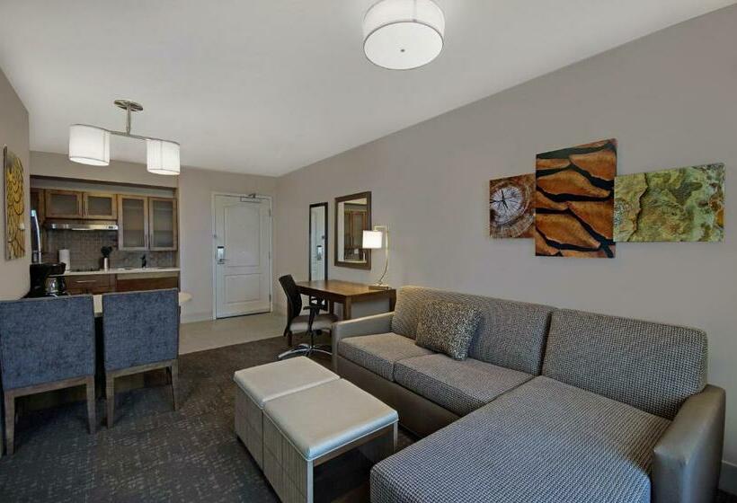 适合残疾人士使用的带超级大床的标准间, Staybridge Suites   Sterling Heights  Detroit Area, An Ihg