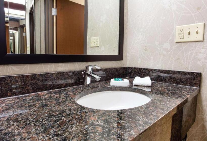 Люкс Superior, Drury Inn & Suites Kansas City Airport