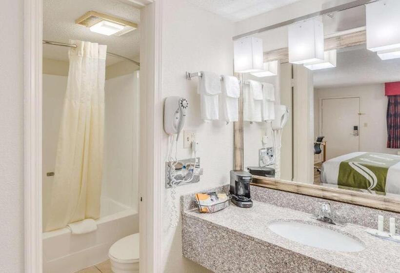 Номер Стандарт 2 Двуспальные Кровати, Quality Inn & Suites Hot Springslake Hamilton