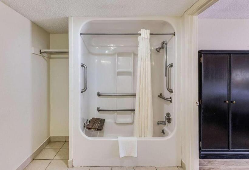 Номер Стандарт Кровать Кинг Адаптированный для Инвалидов, Quality Inn & Suites Hot Springslake Hamilton