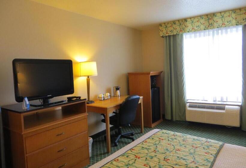 Стандартный Номер Кровать Кинг, Baymont By Wyndham Kalamazoo East