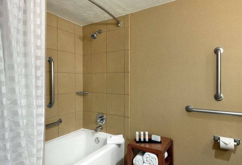Люкс Адаптированный для Инвалидов, Embassy Suites By Hilton Kansas City International Airport