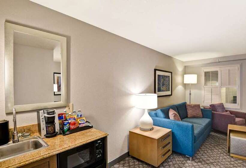 اتاق پرمیوم, Embassy Suites By Hilton Lexington/uk Coldstream