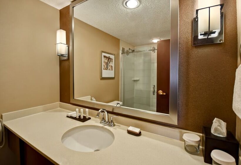 سوییت, Embassy Suites By Hilton Lexington/uk Coldstream