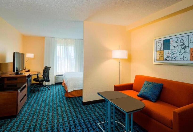 استودیو استاندارد با تخت کینگ, Fairfield Inn & Suites By Marriott Allentown Bethlehem/lehigh Valley Airport