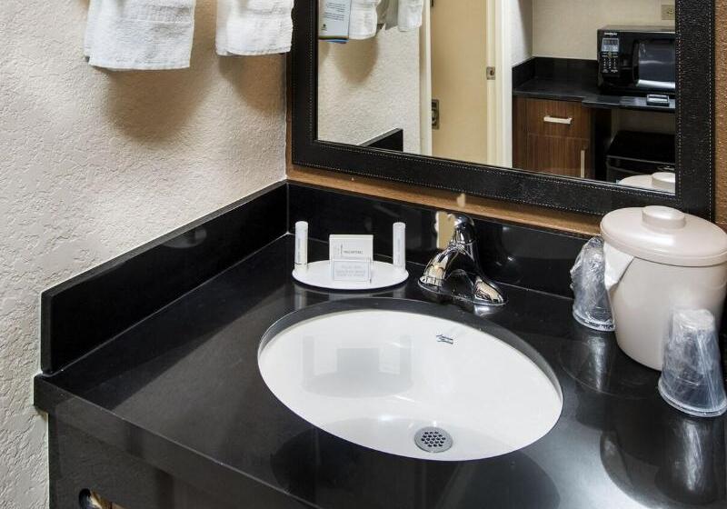 스탠다드 룸 킹사이즈 침대, Fairfield Inn & Suites By Marriott Atlanta Buckhead