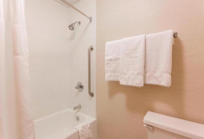 Номер Deluxe Адаптированный для Инвалидов, Fairfield Inn By Marriott Ponca City