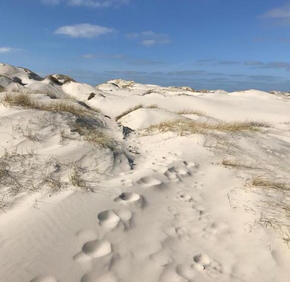 Номер Стандарт, Sudstrand Amrum