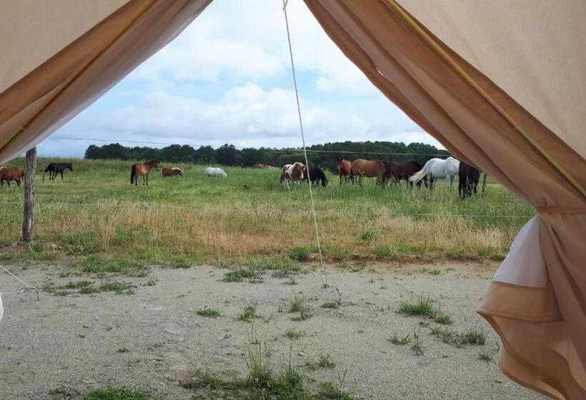 Standard Tent, Centre équestre D Azay Le Rideau