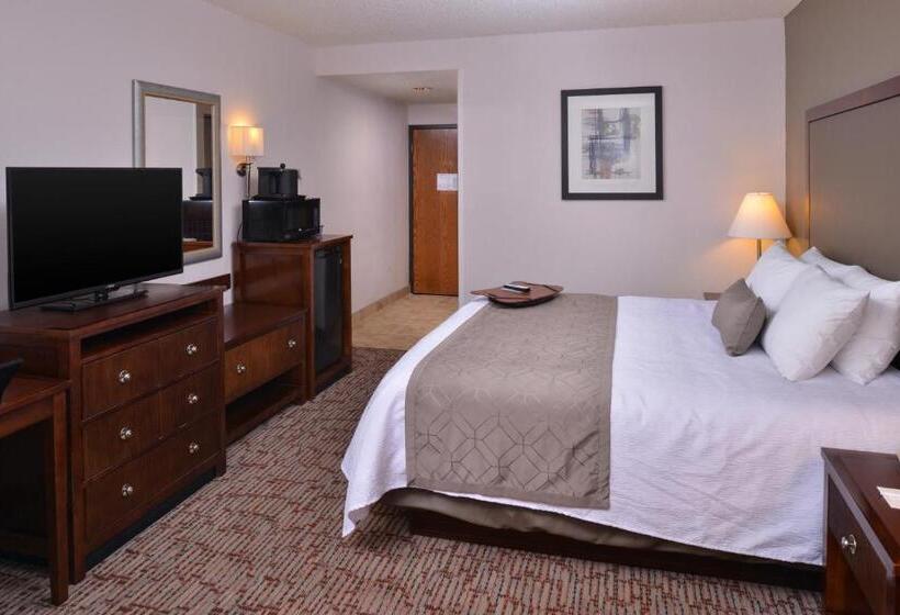 اتاق استاندارد با تخت بزرگ برای معلولان, Best Western Plus Wichita West Airport Inn