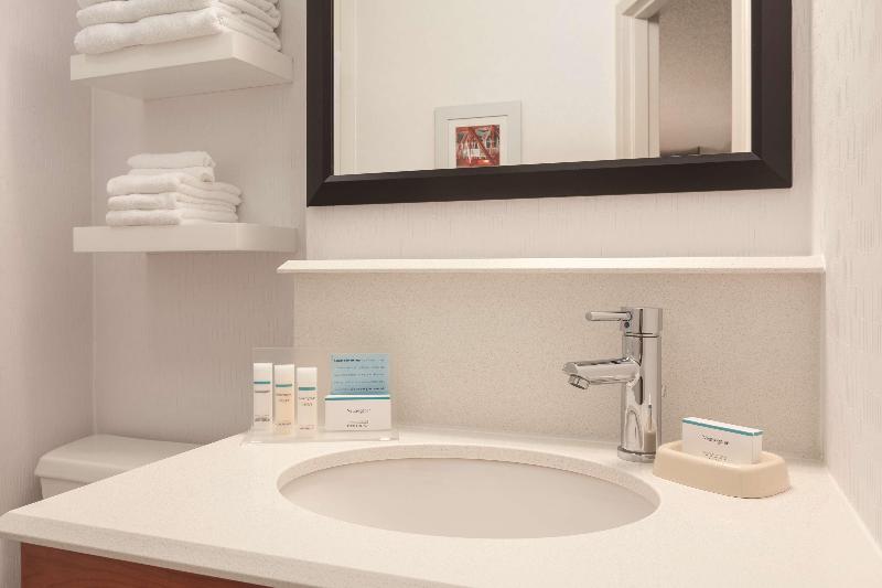 اتاق استاندارد با تخت بزرگ, Hampton Inn Des Moinesairport