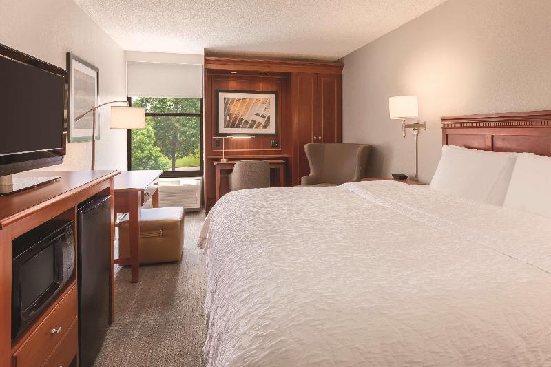 اتاق استاندارد با تخت بزرگ, Hampton Inn Des Moinesairport
