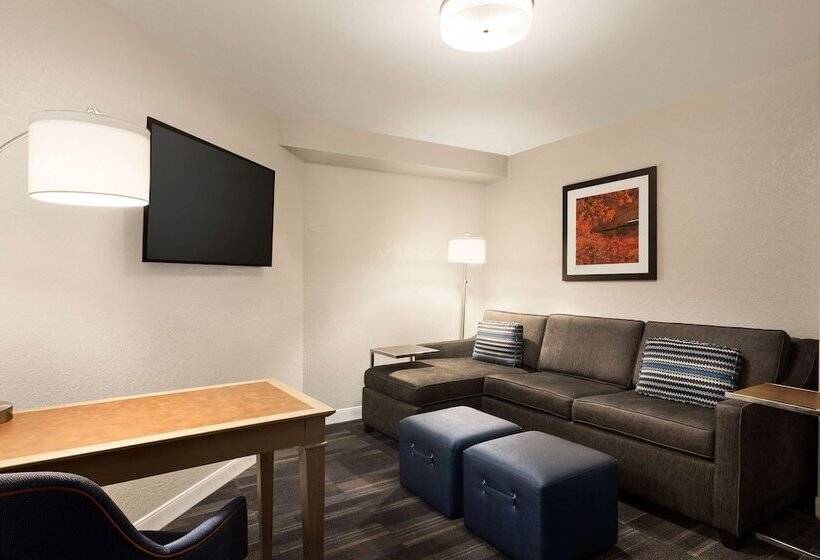 Люкс, Hampton Inn Fort Smith