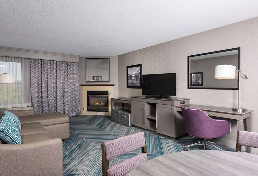 Люкс, Hampton Inn Midland