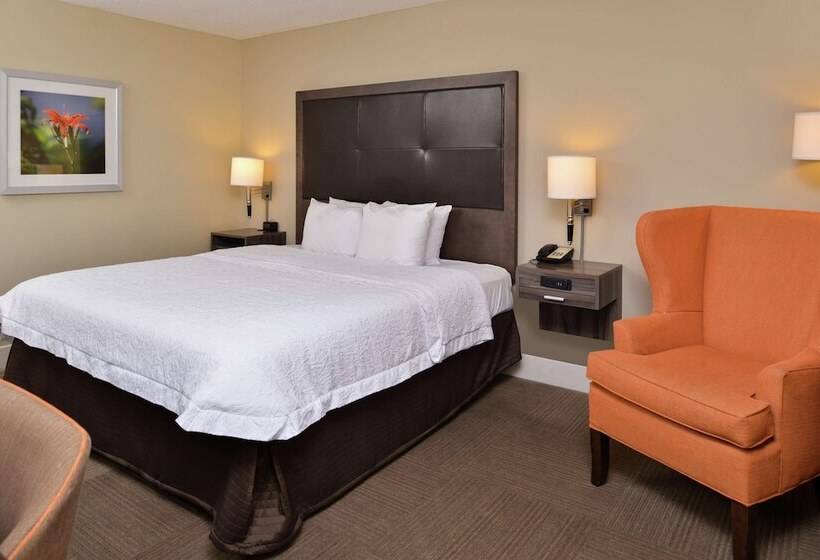 스탠다드 룸 더블 침대, Hampton Inn South Hill