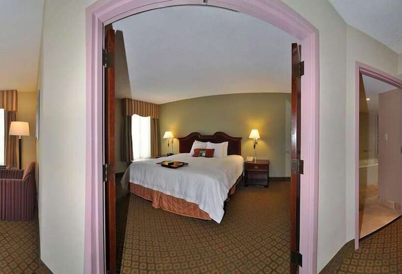 스탠다드 룸 더블 침대, Hampton Inn South Hill