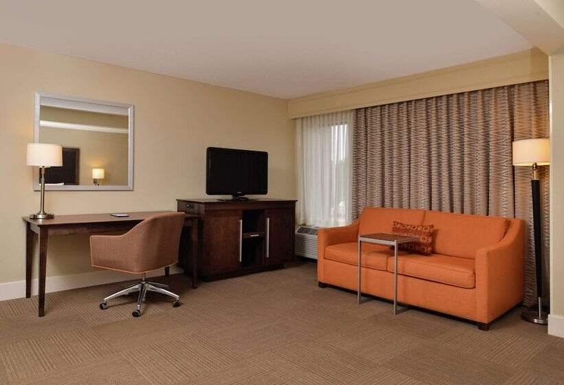 스탠다드 룸 더블 침대, Hampton Inn South Hill