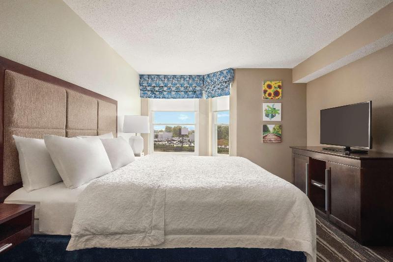 Suite Lit King, Hampton Inn & Suites Ft. Waynenorth