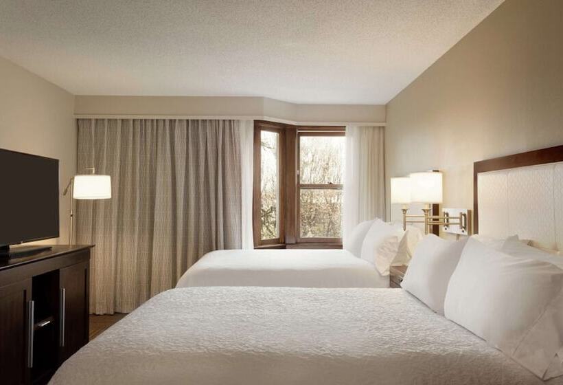장애인을 위한 스탠다드 룸, Hampton Inn & Suites Springdale
