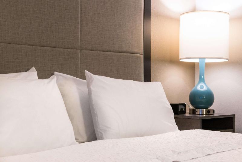 스탠다드 룸 킹사이즈 침대, Hampton Inn Ft Lauderdale Plantation