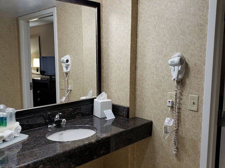 Номер Стандарт, Holiday Inn Express Detroit Birmingham, An Ihg