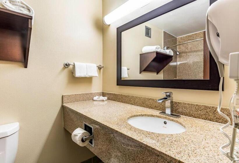 带大床的套房, Red Roof Inn Plus & Suites Houston   Iah Airport Sw