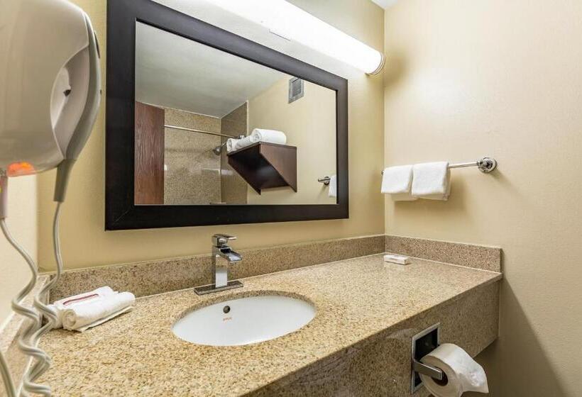 带大床的高级房间, Red Roof Inn Plus & Suites Houston   Iah Airport Sw