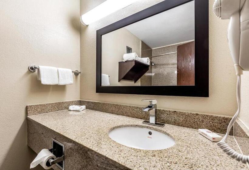 带大床的豪华间, Red Roof Inn Plus & Suites Houston   Iah Airport Sw