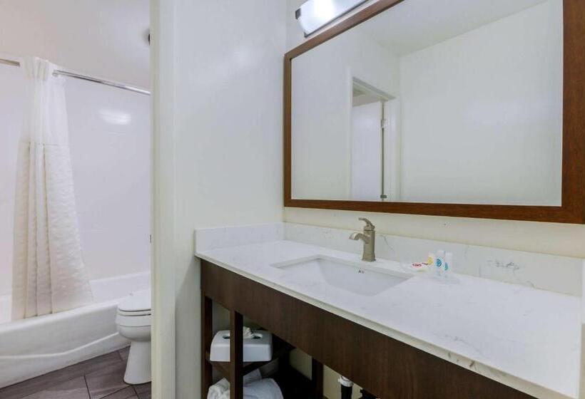 Номер Стандарт Адаптированный для Инвалидов, Comfort Suites At Sabino Canyon