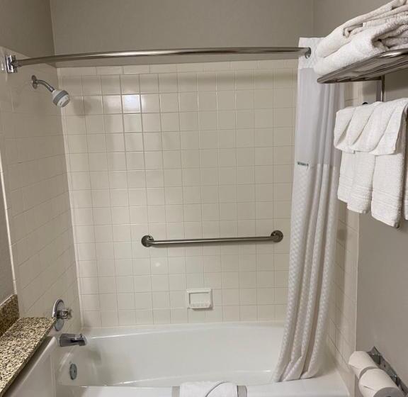 اتاق استاندارد با تخت بزرگ, Days Inn & Suites By Wyndham Des Moines Airport