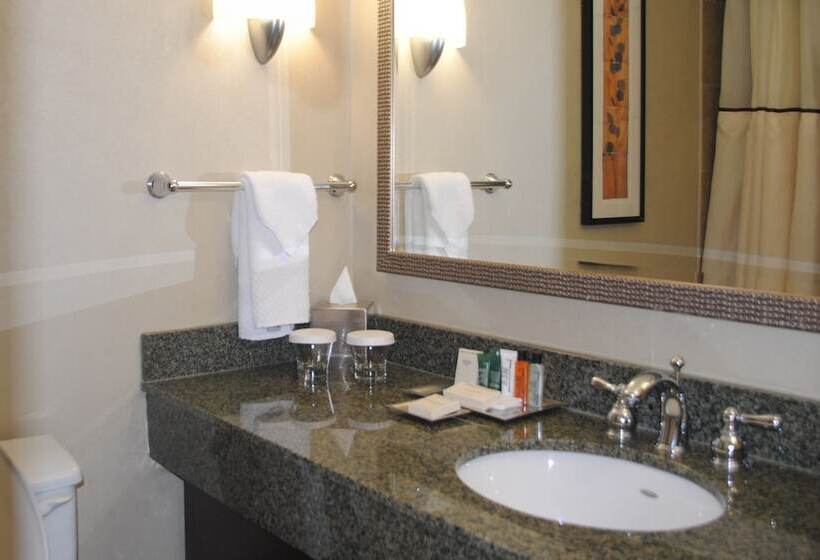 Номер Стандарт, Hilton Arlington National Landing