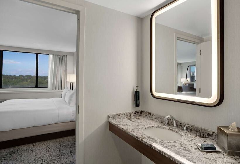 Полулюкс, Hilton Arlington National Landing