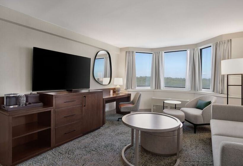 Полулюкс, Hilton Arlington National Landing