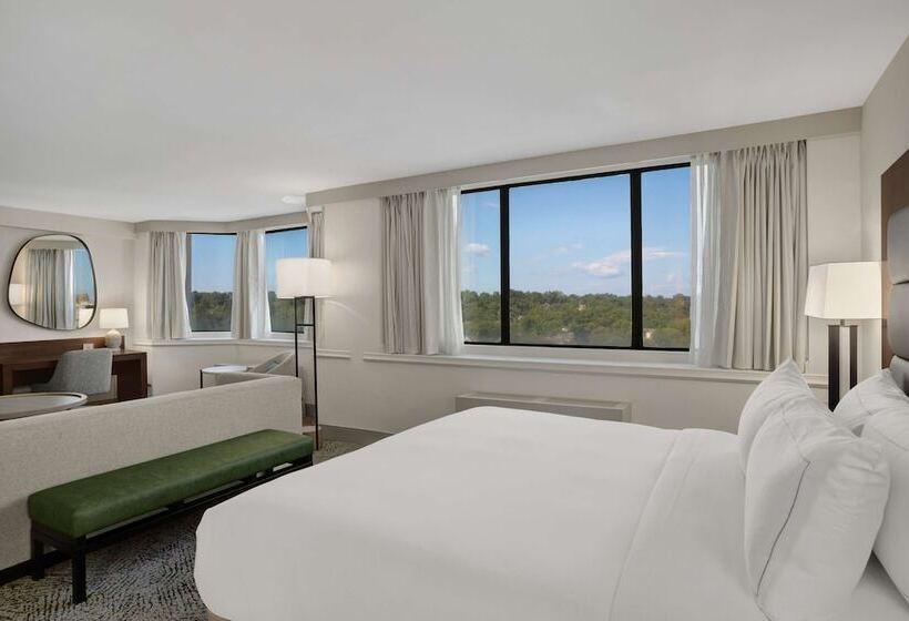 Полулюкс, Hilton Arlington National Landing