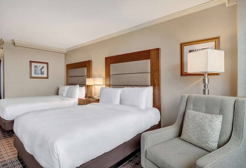 Номер Стандарт, Hilton Arlington National Landing