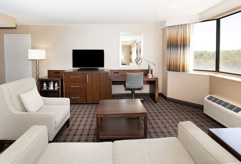 Полулюкс, Hilton Arlington National Landing