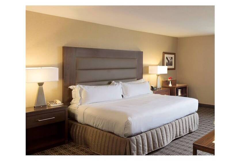 Полулюкс, Hilton Arlington National Landing
