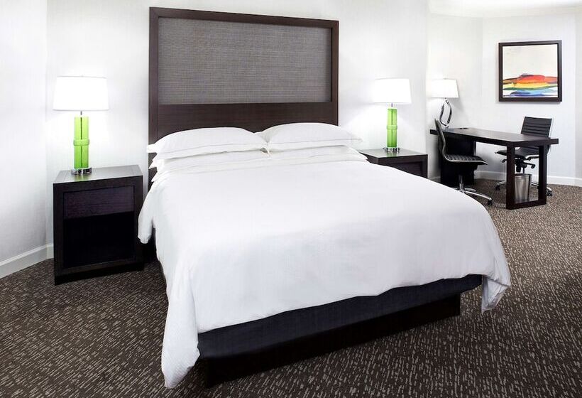 Полулюкс, Hilton Minneapolisst. Paul Airport