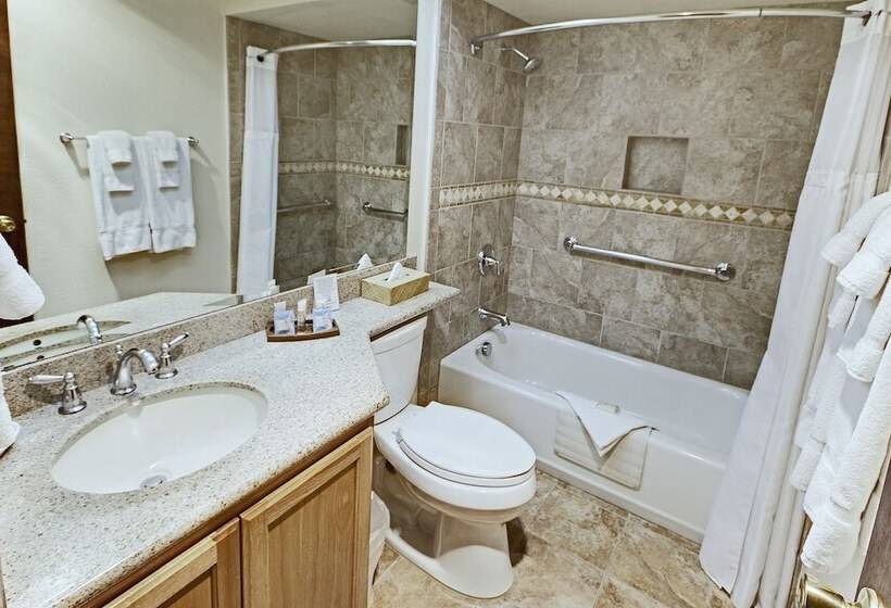 Апартаменты 1 Спальня, Heidelberg Inn
