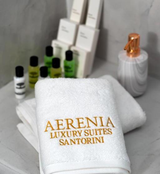 آپارتمان 1 خوابه با تراس, Aerenia Luxury Suites