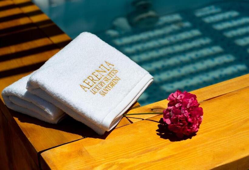 آپارتمان لوکس 1 خوابه, Aerenia Luxury Suites
