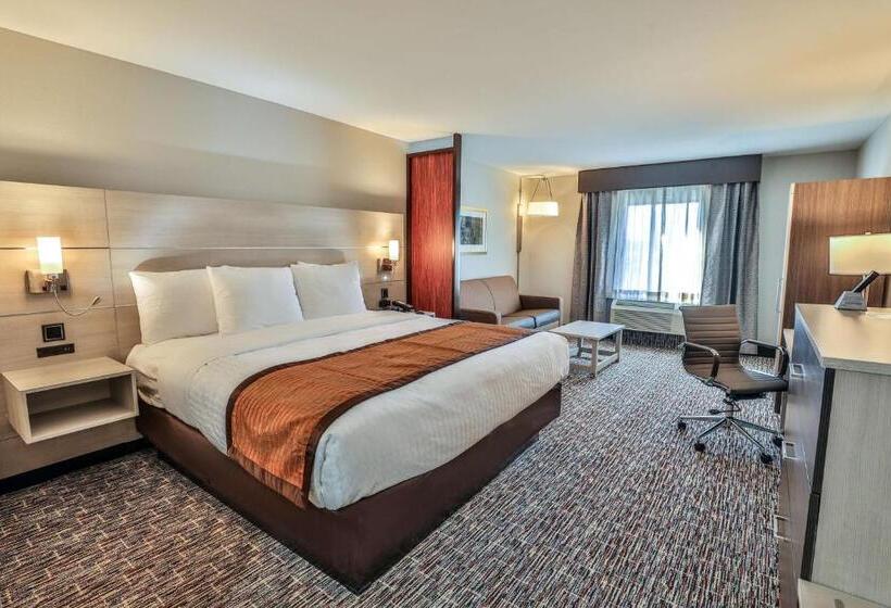 Suite Accessibile ai persone con mobilità ridotta, Best Western Plus Executive Residency Nashville