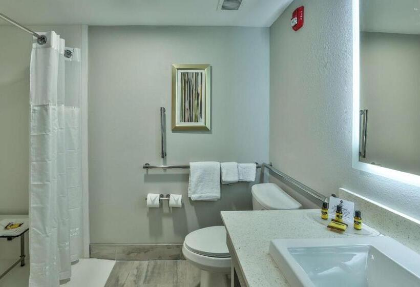 Camera Standard Accessibile ai Disabili, Best Western Plus Executive Residency Nashville