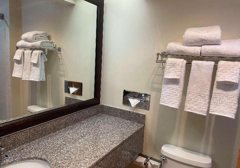 Стандартный Номер Кровать Кинг, Best Western Socorro Hotel & Suites
