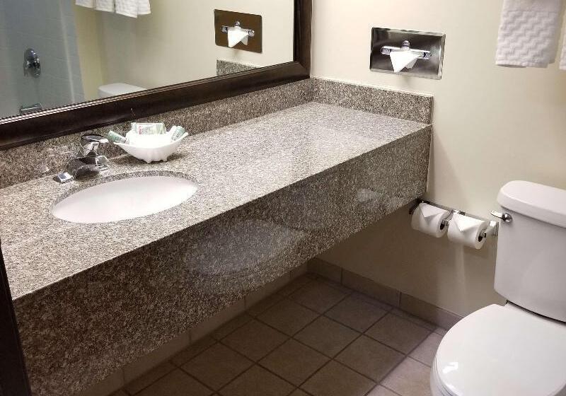 Стандартный Номер Кровать Кинг, Best Western Socorro Hotel & Suites
