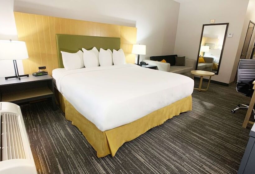 스탠다드 룸 더블 침대, Country Inn & Suites By Radisson, Fort Worth West L30 Nas Jrb