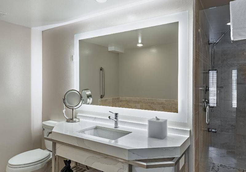 سوئیت با تخت بزرگ, Crowne Plaza Orlando Downtown, An Ihg