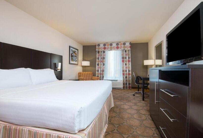 Номер Стандарт Кровать Кинг Адаптированный для Инвалидов, Holiday Inn Express Hotel & Suites Hobbs By Ihg